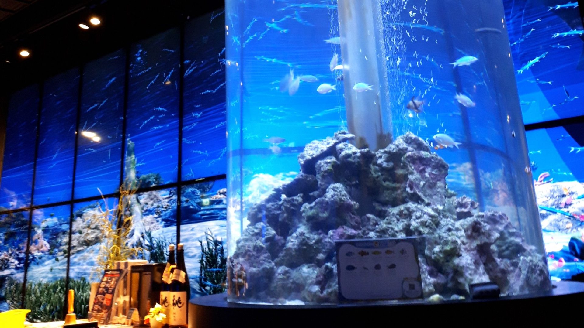 築地 まるで潜水艦 子どもたちも歓喜する 日本料理 魚月 でコスパランチ Co Sodate