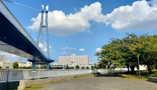 東雲水辺公園｜美しい辰巳桜橋を臨む運河沿いの公園で、潮風を感じながらのお散歩が気持ちいい！
