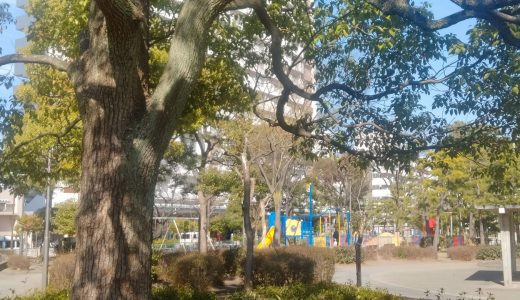 東雲公園｜見守られている安心感と懐かしさ。学校や住宅に囲まれた静かな環境の公園